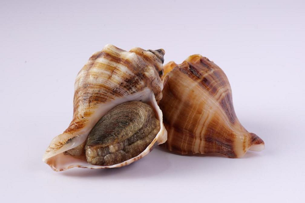 1741920244565634.png 图片6.png