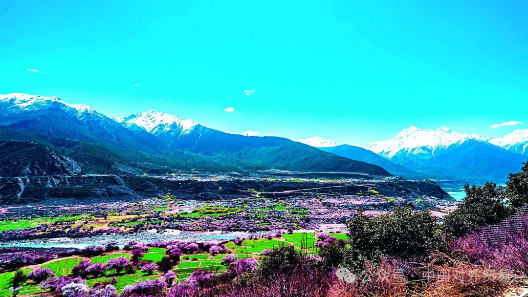 【商旅生活】在世界屋脊 与苍穹相遇